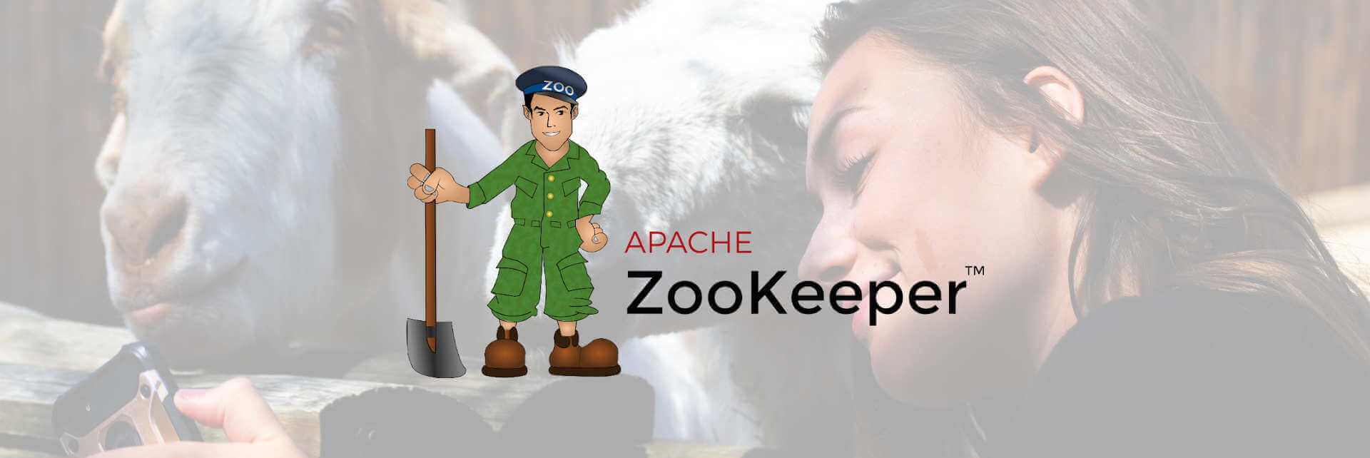 Was ist Apache ZooKeeper? ITTalents.de